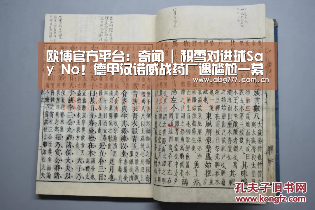 欧博官方平台:奇闻 | 积雪对进球Say No!德甲汉诺威战药厂遇尴尬一幕(图2) 欧博