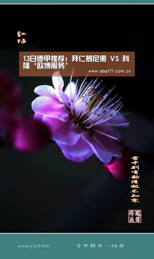 13日德甲推荐:拜仁慕尼黑 VS 科隆‘欧博服务’(图2) 欧博官方平台