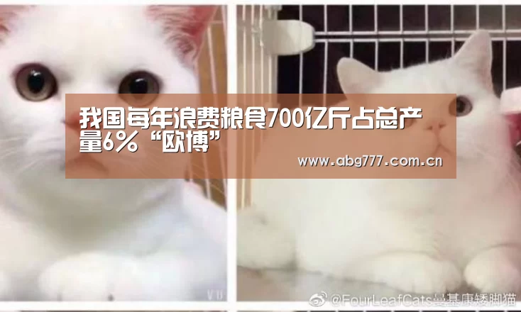 我国每年浪费粮食700亿斤占总产量6%“欧博”(图2) 欧博官方平台