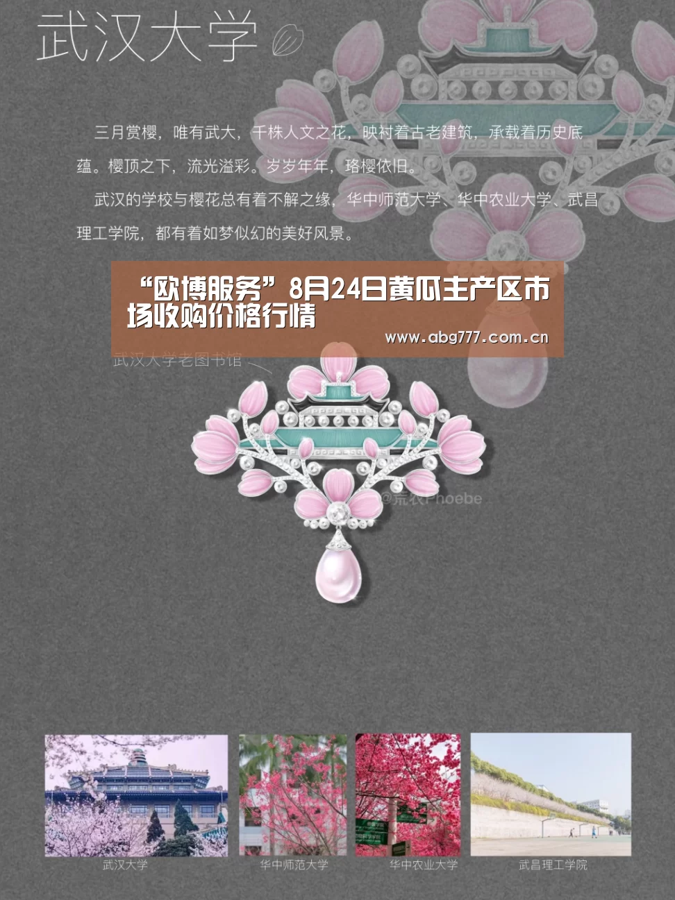“欧博服务”8月24日黄瓜主产区市场收购价格行情(图3) 欧博官方平台