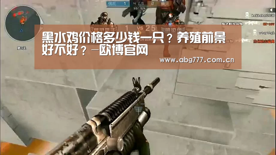 黑水鸡价格多少钱一只?养殖前景好不好?-欧博官网(图1) 欧博官网