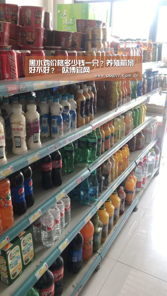 黑水鸡价格多少钱一只?养殖前景好不好?-欧博官网(图4) 欧博官方平台