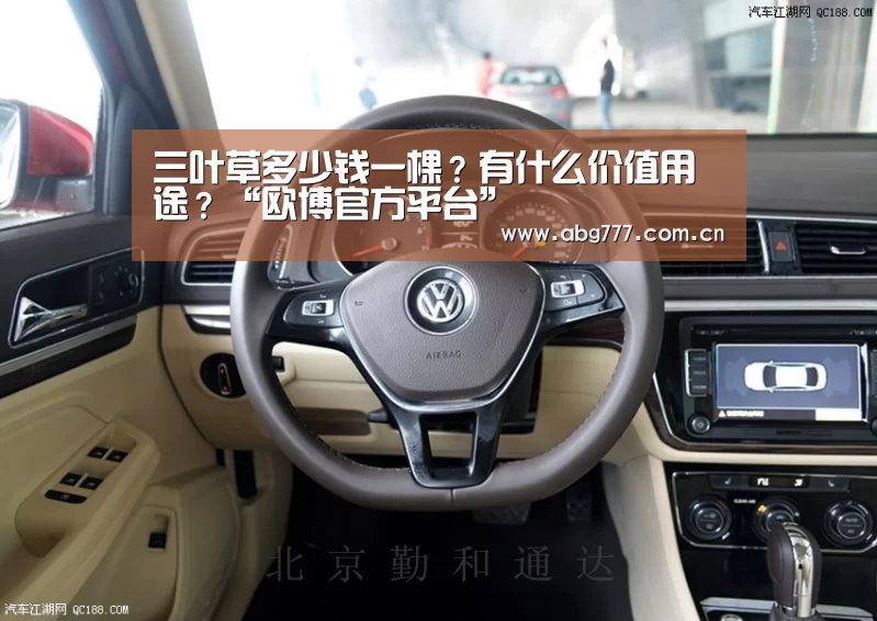 三叶草多少钱一棵?有什么价值用途?“欧博官方平台”(图2) 欧博官网