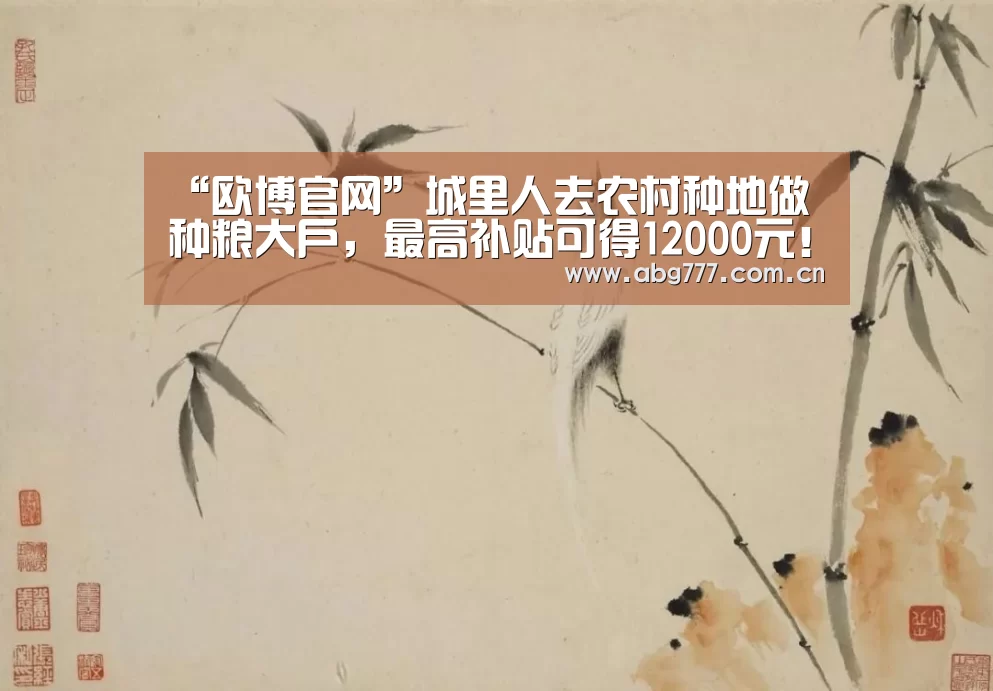 “欧博官网”城里人去农村种地做种粮大户,最高补贴可得12000元!(图1) 欧博