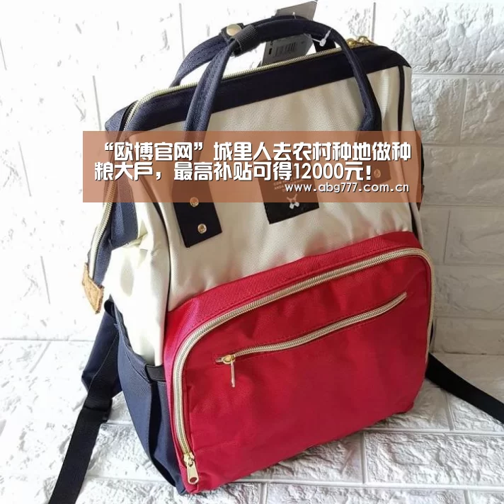 “欧博官网”城里人去农村种地做种粮大户,最高补贴可得12000元!(图2) 欧博