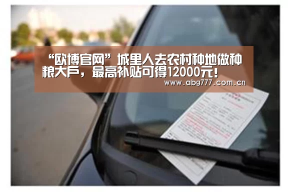 “欧博官网”城里人去农村种地做种粮大户,最高补贴可得12000元!(图3) 欧博